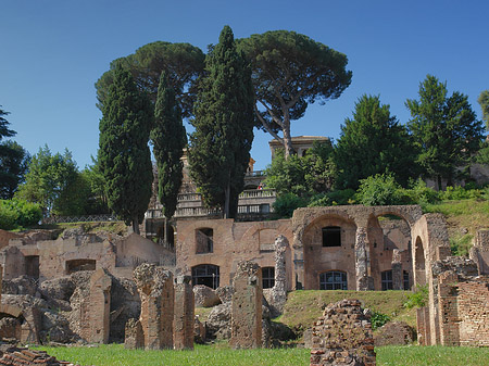 Fotos Forum Romanum