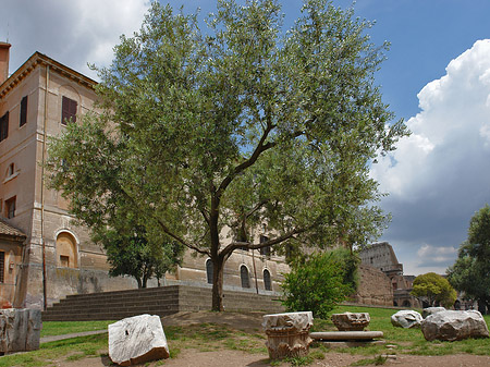 Fotos Maxentiusbasilika