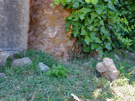 Foto Steine im Forum Romanum