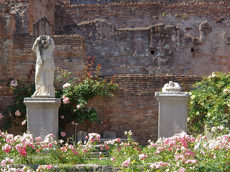 Fotos Tempel der Vesta