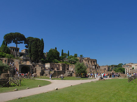 Foto Weg ins Forum Romanum - Rom