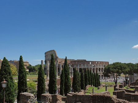 Foto Kolosseum mit dem Forum Romanum - Rom