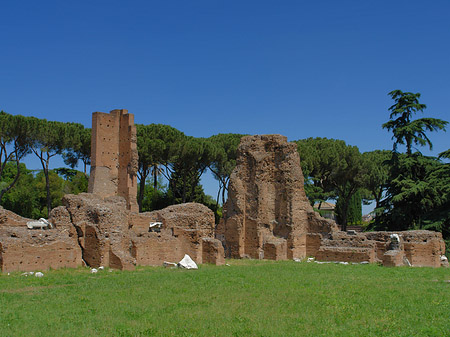 Ruinen am Apollo Tempel Fotos