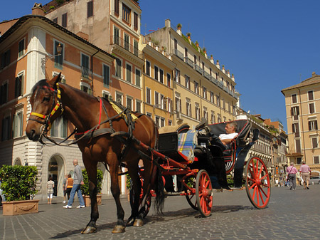 Foto Pferdekutsche auf der Piazza die Spagna - Rom