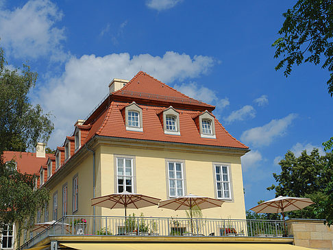 Fotos Bärenzwinger | Dresden