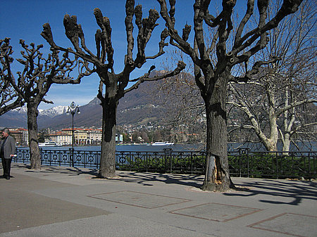 Fotos Lugano