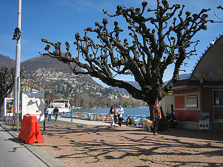 Foto Lugano - Vevey