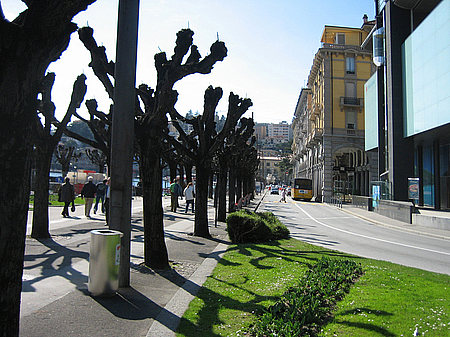 Foto Lugano - Vevey