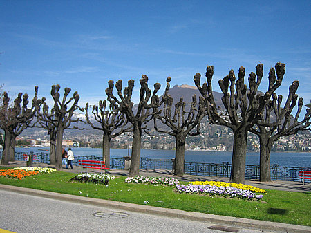 Fotos Lugano | Vevey