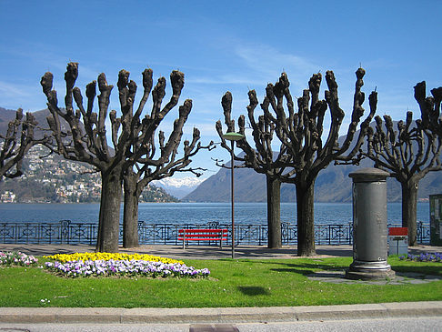 Foto Lugano