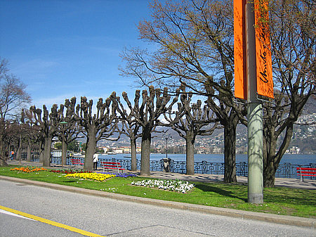 Fotos Lugano | Vevey