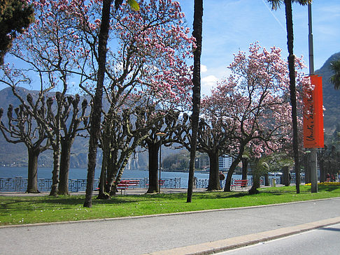 Lugano Foto 