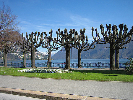 Fotos Lugano