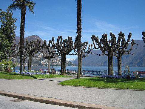 Fotos Lugano