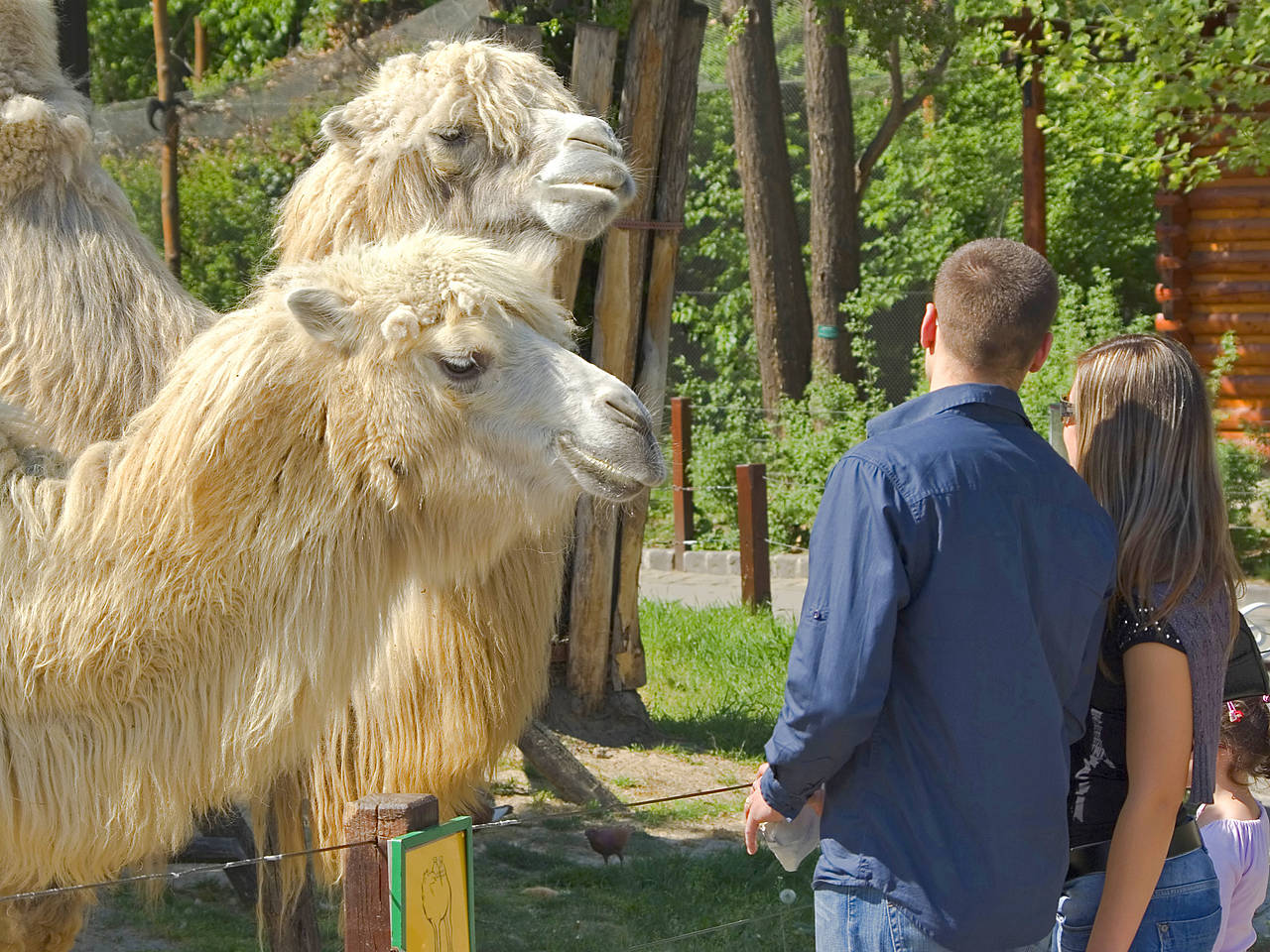 Foto Zoo Budapest - Budapest