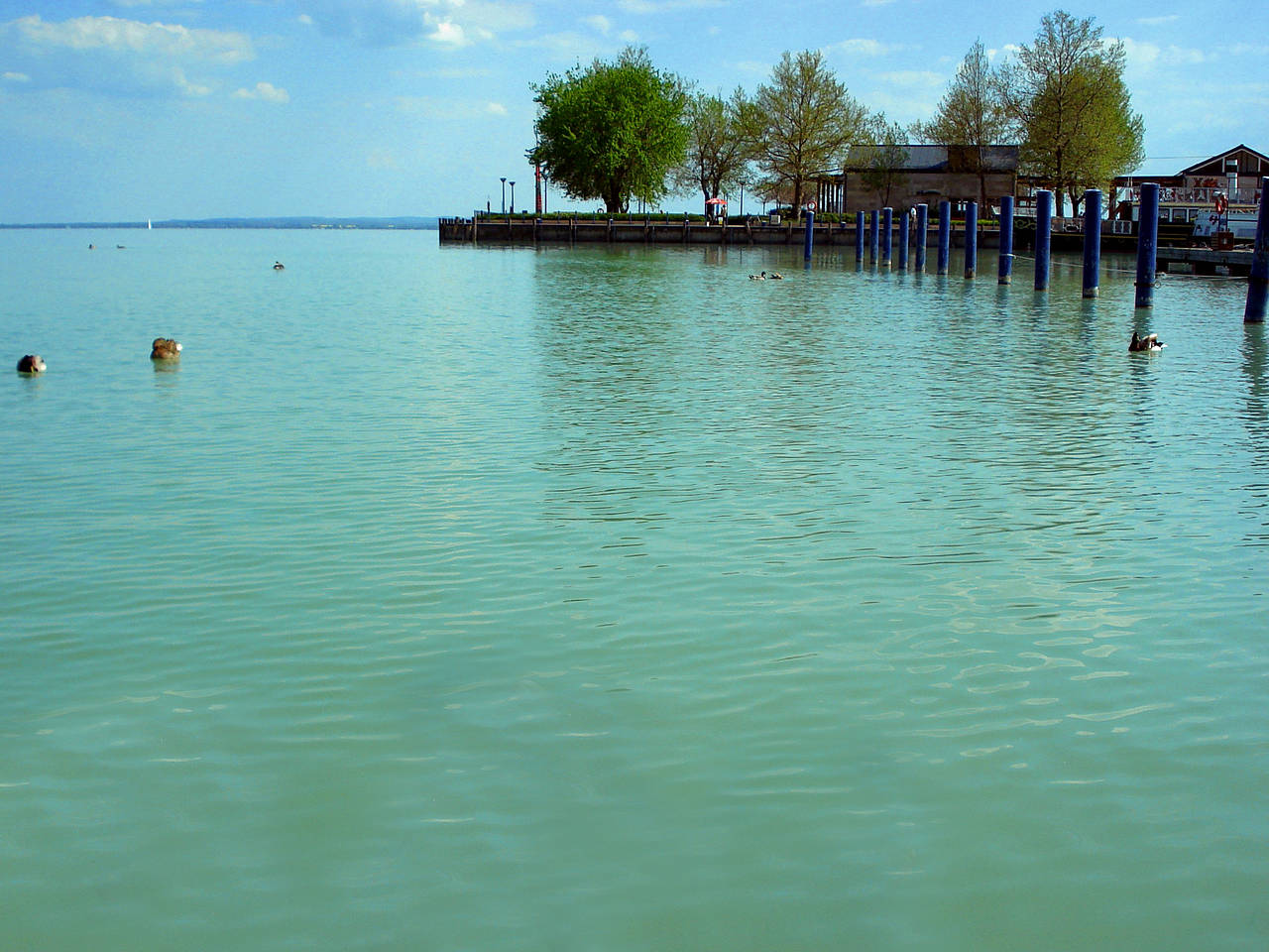 Foto Plattensee - Balaton - Budapest